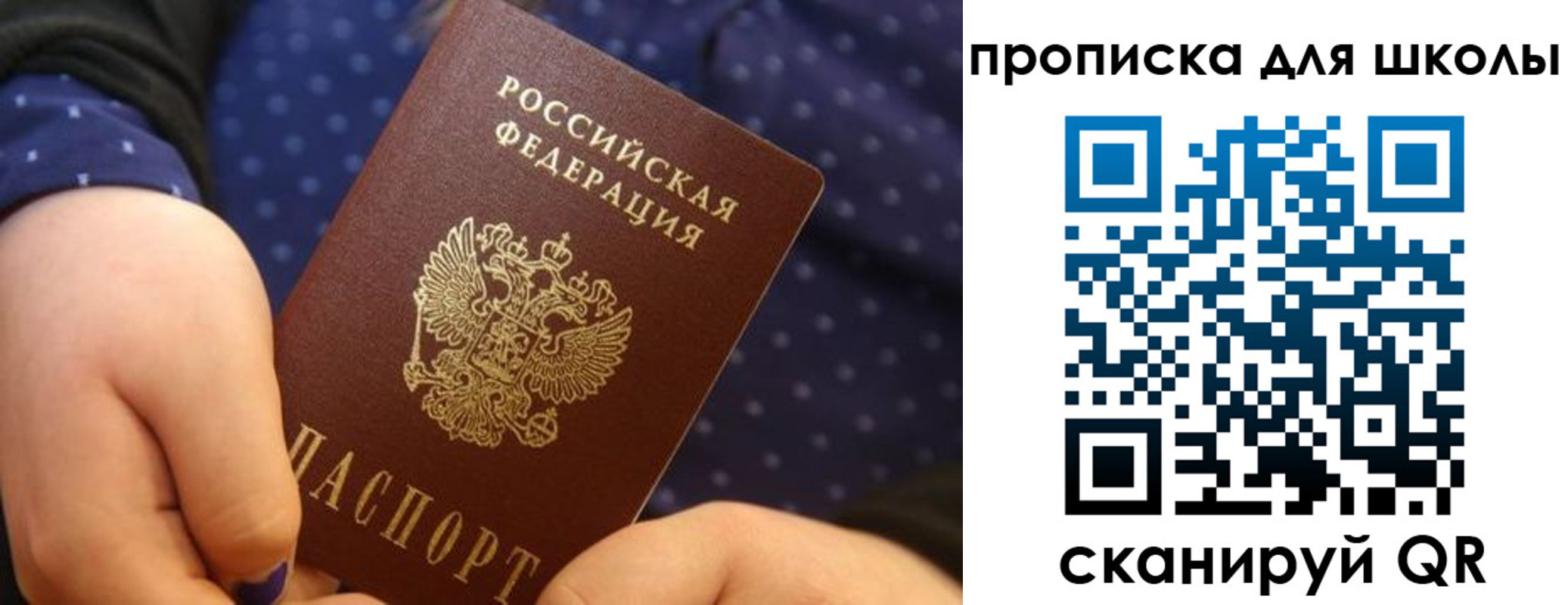 временная регистрация гарантия в Туле